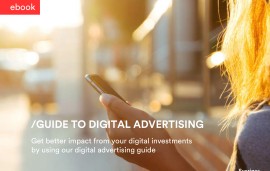    Swedish  Advertisers' guide to digital advertising