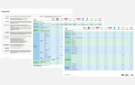   Dutch industry charts a course for retail media