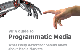    Guide to Programmatic Media (2014)