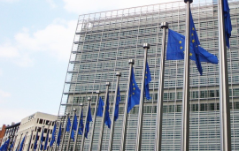    The EU Digital Services Act: implications for advertisers