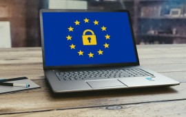    WFA submission - Report on the application of the GDPR