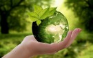 WFA feedback to the EU Commission on ‘greenwashing’ ban proposal