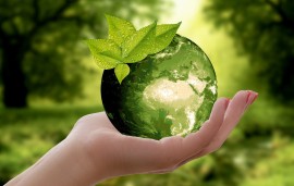    WFA feedback to the EU Commission on ‘greenwashing’ ban proposal