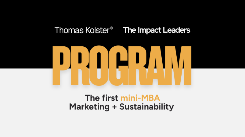 Impact Leaders Programme