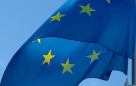    EU Digital Services Act: WFA briefing, February 2022