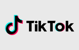    Unpacking the Digital Services Act: A Q&A session with TikTok