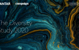    The Diversity Study 2020