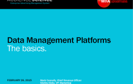    Data Management Platforms (DMP) - the basics